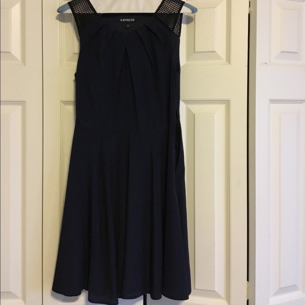 Express Navy Dress